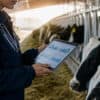 Animal Breeder worker holding an electronic tables in a Dairy production company